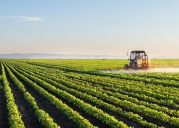 Agriculture: Will Indian farmers now use drones to cultivate their crops?