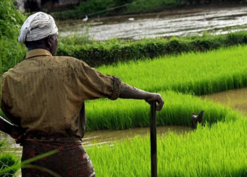All-india consumer price index numbers for agricultural and rural labourers – October, 2022