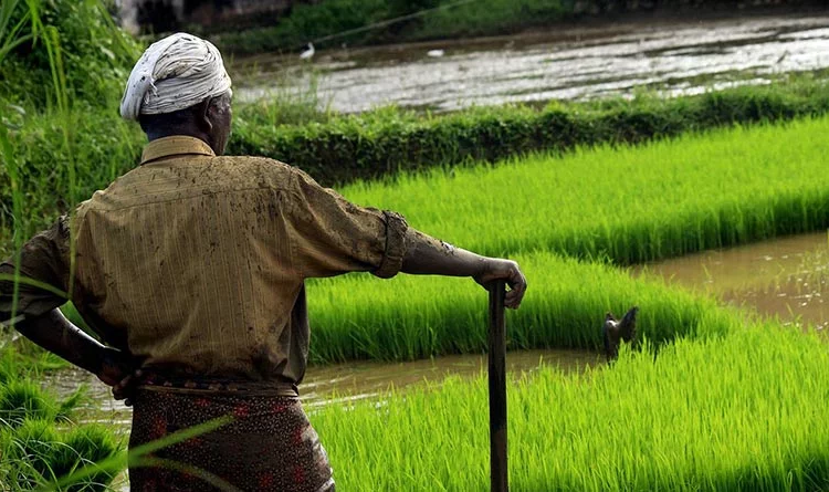 All-india consumer price index numbers for agricultural and rural labourers – October, 2022