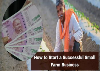 How To Start A Successful Small Farm Business