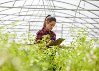 Using Blockchain Technology To Increase Transparency In Agriculture