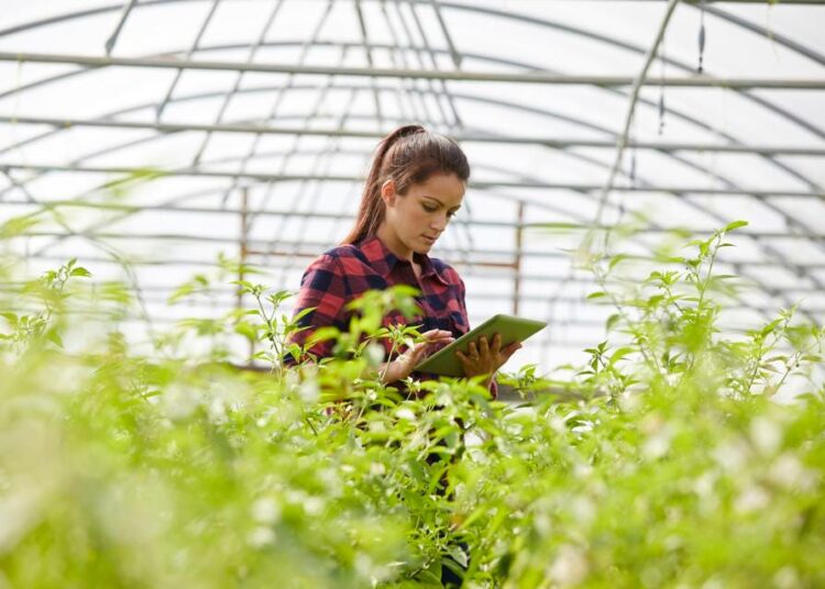 Using Blockchain Technology To Increase Transparency In Agriculture