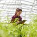 Using Blockchain Technology To Increase Transparency In Agriculture