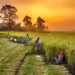 Food security: How to deal with effects of climate change on Indian agriculture