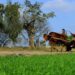 Growth dips, public investment stagnant in agriculture sector