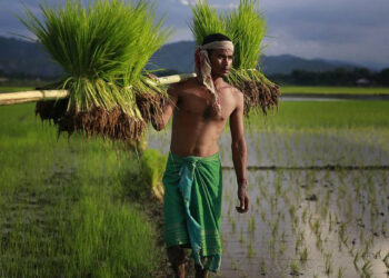 Selling Value-Added Items Out Of Agricultural Products Can Increase Farmer's Income: Kerala Minister