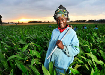 New India-Africa cooperation ushering in an era of sustainable agriculture for the continent