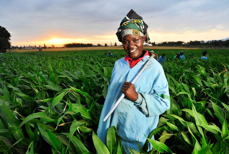 New India-Africa cooperation ushering in an era of sustainable agriculture for the continent