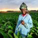New India-Africa cooperation ushering in an era of sustainable agriculture for the continent