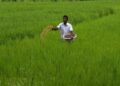 Budget 2023: What agriculture sector expects from Finance Minister Nirmala Sitharaman