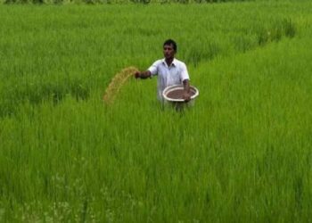 Budget 2023: What agriculture sector expects from Finance Minister Nirmala Sitharaman