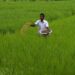 Budget 2023: What agriculture sector expects from Finance Minister Nirmala Sitharaman