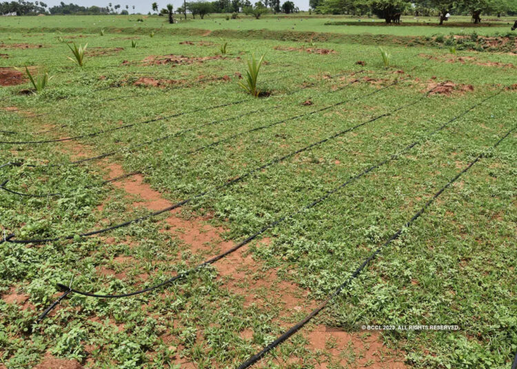 Is India in step to develop a sustainable agricultural future as envisioned in COP27?