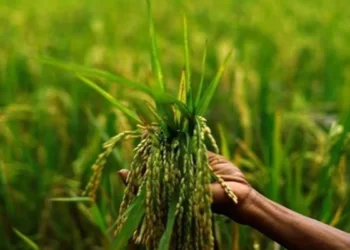 Agricultural development will always remain an integral part of our nation’s overall economic development.