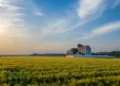 Madhya Pradesh government will pay 100% of crop insurance premium