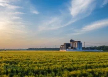 Madhya Pradesh government will pay 100% of crop insurance premium