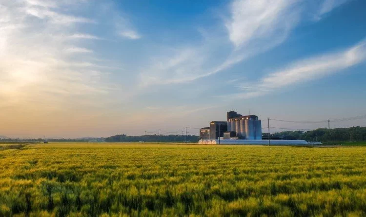 Madhya Pradesh government will pay 100% of crop insurance premium