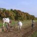 How can we improve farmers income in India?