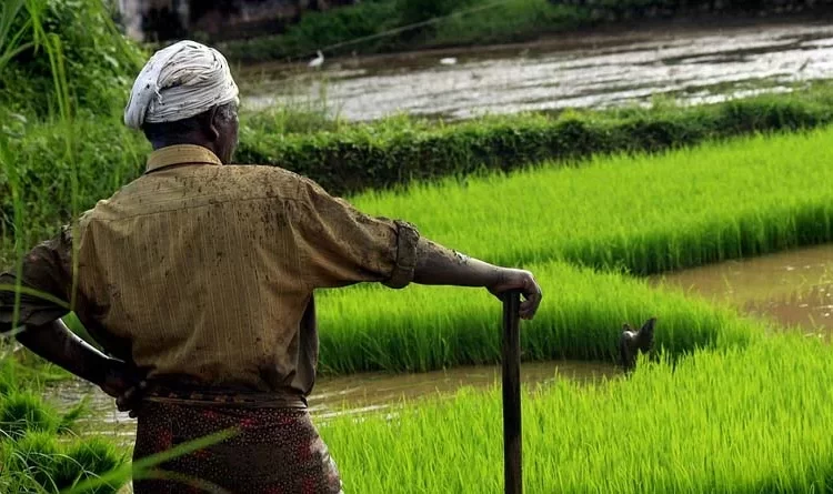 Agriculture in India