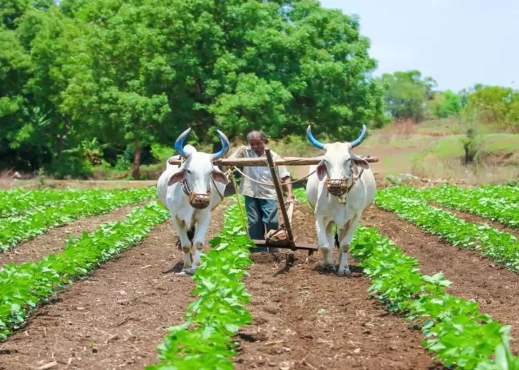 A firm in Maharashtra's Latur district will carry out organic farming