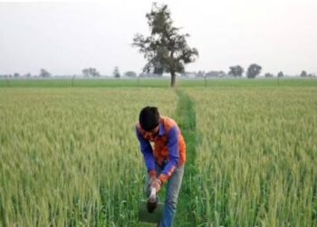 Opinion | Weather Blues Again: Organic Farming Need of the Hour in India