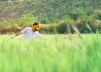 Indian agriculture