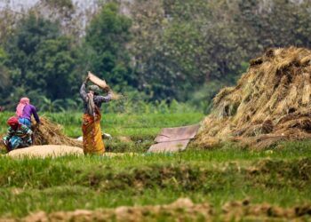 Here is why the world needs regenerative agriculture