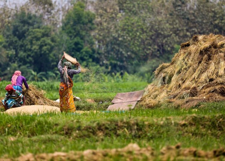 Here is why the world needs regenerative agriculture