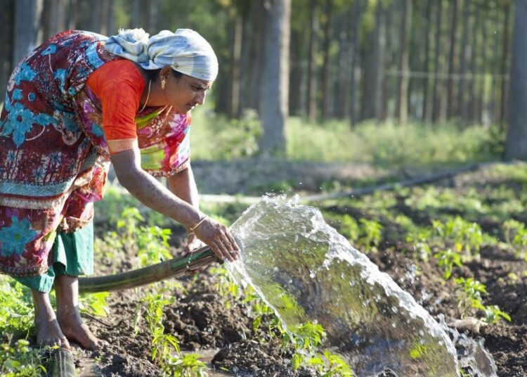 Hamish John Appleby for IWMI/Flickr CC BY-NC-ND 2.0