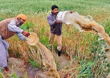 According to latest official data from a background note prepared by the ministry of agriculture on “the functioning of the agricultural credit system in the country”, the share of investment credit in total agriculture credit stood at 41% during 2021-22, one percentage point below its peak of 42% achieved in 2006-06. (AFP)