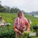 Union Budget 2023-24: Digital push, supply-side incentives for agriculture