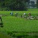 Budget 2023: Agricultural sector anticipates incentives for innovative technologies