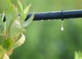 Irrigation Association of India & Agriculture Ministry to Host Conference On Micro Irrigation to Boost Water Productivity & Crop Yield