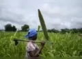 India appeals to G20 nations to adopt '3S' formula in agriculture for tackling food security concerns