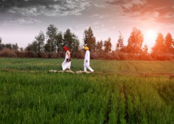 India’s foodgrain production estimated at 330 million tonnes for 2022-23: Third Advance Estimate