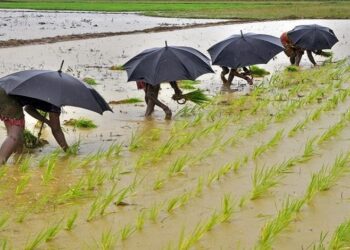 El Nino & It’s Impact On Indian Agriculture