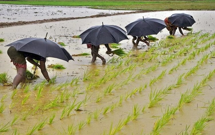 El Nino & It’s Impact On Indian Agriculture