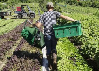 Need to promote recycling of agri-waste, chemical-free farming: MoS Agri
