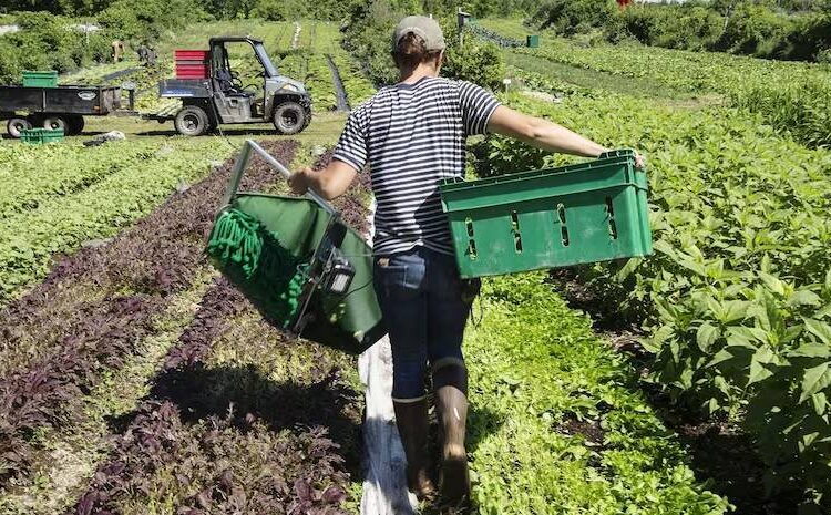 Need to promote recycling of agri-waste, chemical-free farming: MoS Agri