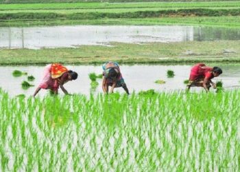 SAS India collaborates with Ganpat University to launch M.Sc. Program in Agriculture Analytics