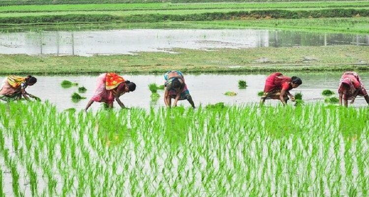 SAS India collaborates with Ganpat University to launch M.Sc. Program in Agriculture Analytics