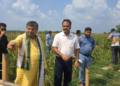 How Tripura can become self-sufficient in corn production