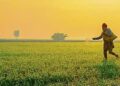 ICAR signs MoU with Amazon Kisan to guide farmers on scientific cultivation