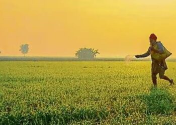 ICAR signs MoU with Amazon Kisan to guide farmers on scientific cultivation
