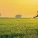 ICAR signs MoU with Amazon Kisan to guide farmers on scientific cultivation