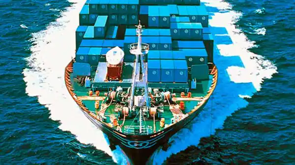 Federation of Indian Export Organizations has been lobbying the government to set up an Indian shipping line of global repute