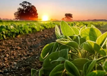 Agri Min Issues Draft Guidelines For Registration Of Bio-Stimulants