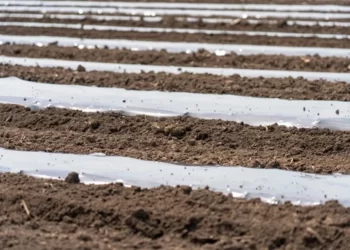 Study: Agricultural plastics as a potential threat to food security, health, and environment through soil pollution by microplastics: Problem definition.