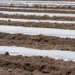 Study: Agricultural plastics as a potential threat to food security, health, and environment through soil pollution by microplastics: Problem definition.