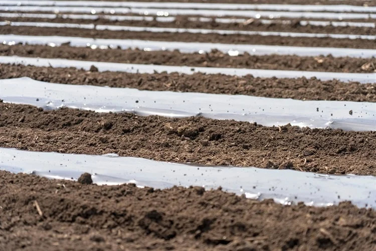 Study: Agricultural plastics as a potential threat to food security, health, and environment through soil pollution by microplastics: Problem definition.